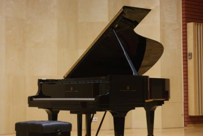 Zdjęcie 36 z galerii Sala Koncertowa