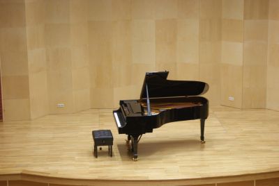 Zdjęcie 35 z galerii Sala Koncertowa