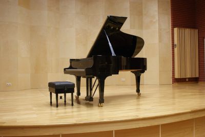 Zdjęcie 31 z galerii Sala Koncertowa